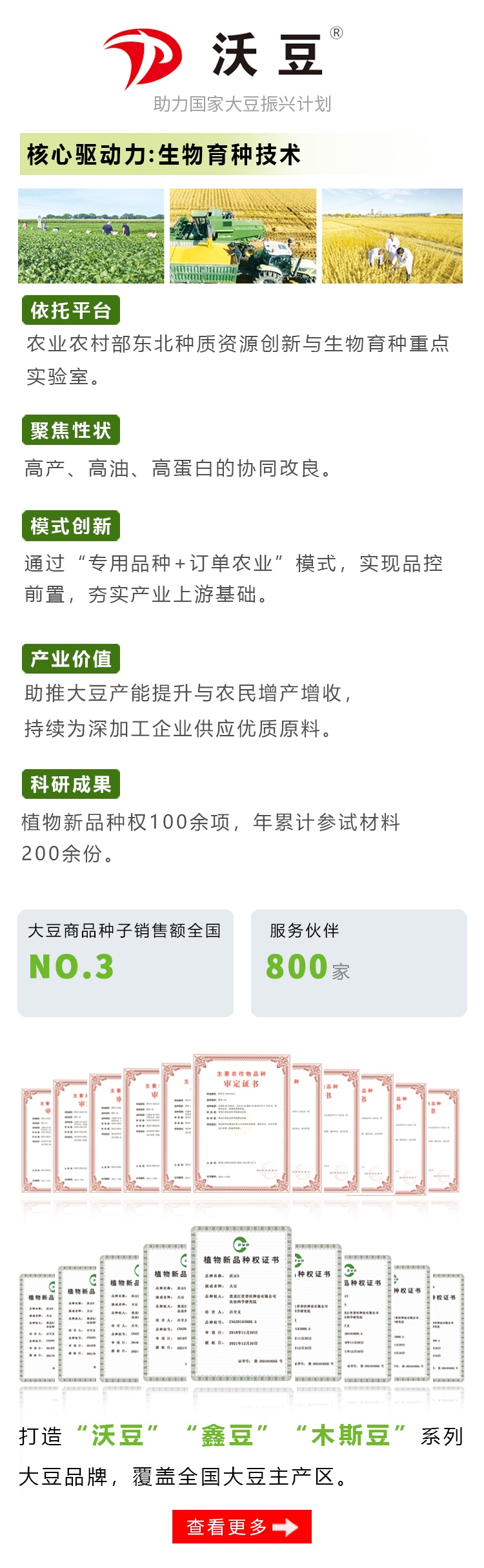 沃豆