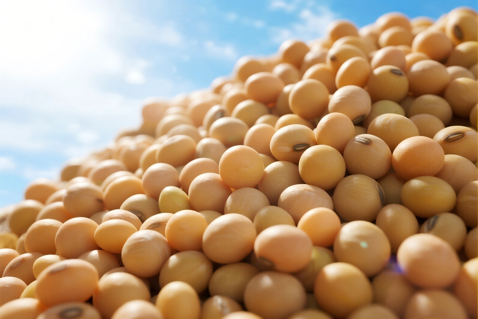 5510万！只为一颗大豆，中国农业今天写下新注脚