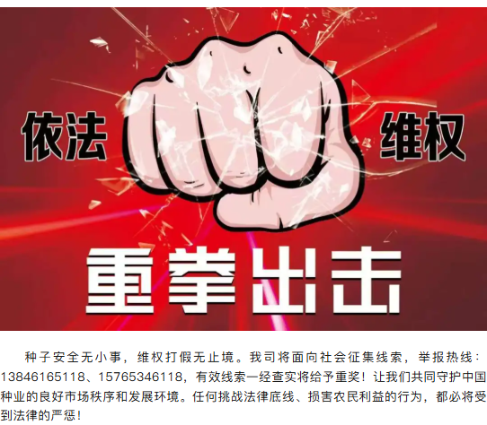 严打侵权假劣，捍卫粮食安全&mdash;&mdash;普田种业全 面打响维权打假攻坚战