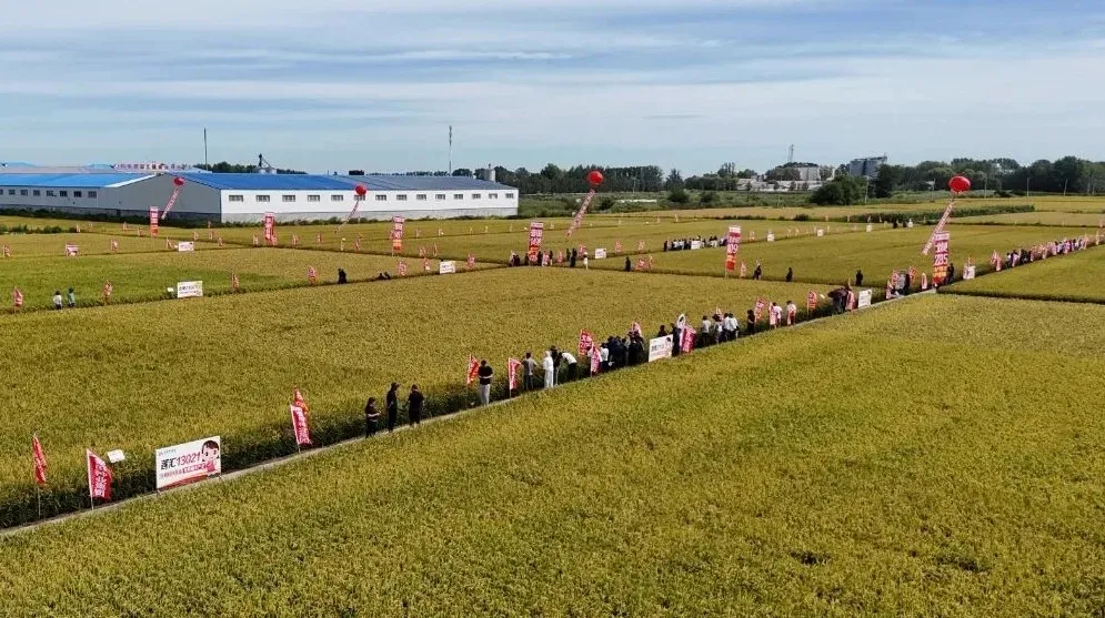 普田种业集团金秋博览接待量突破三万人次