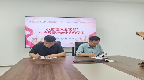 签下&ldquo;爱禾麦10号&rdquo;进军小麦市场