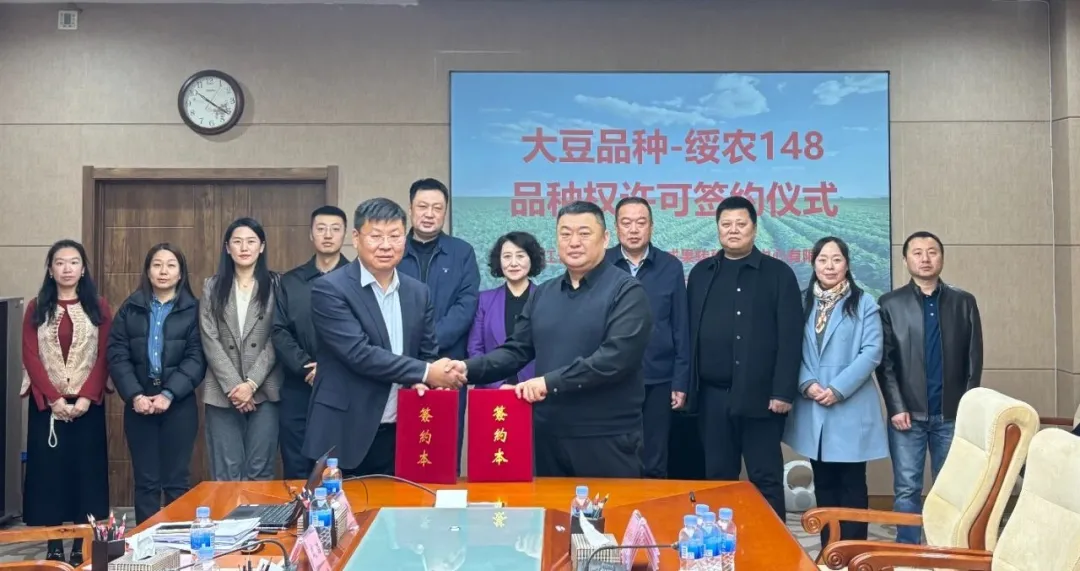 绥农148