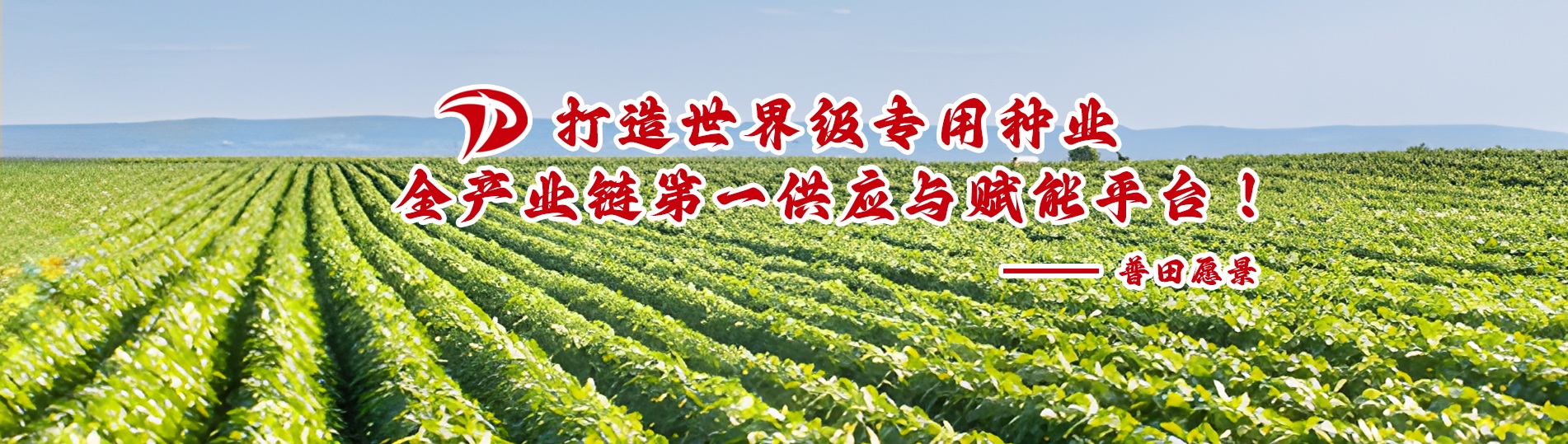 愿景